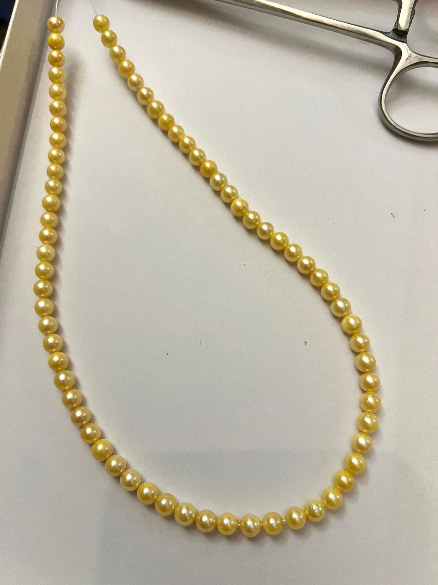 5.5-6mm Japanese Akoya "Feather Gold" Seawater Pearl Necklace