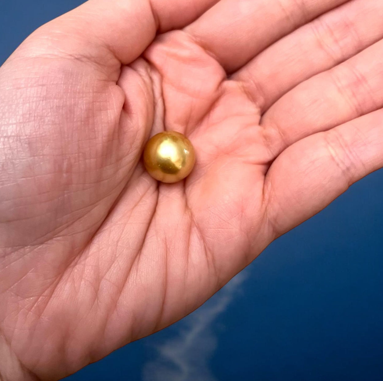 12.8mm 南洋金珍珠