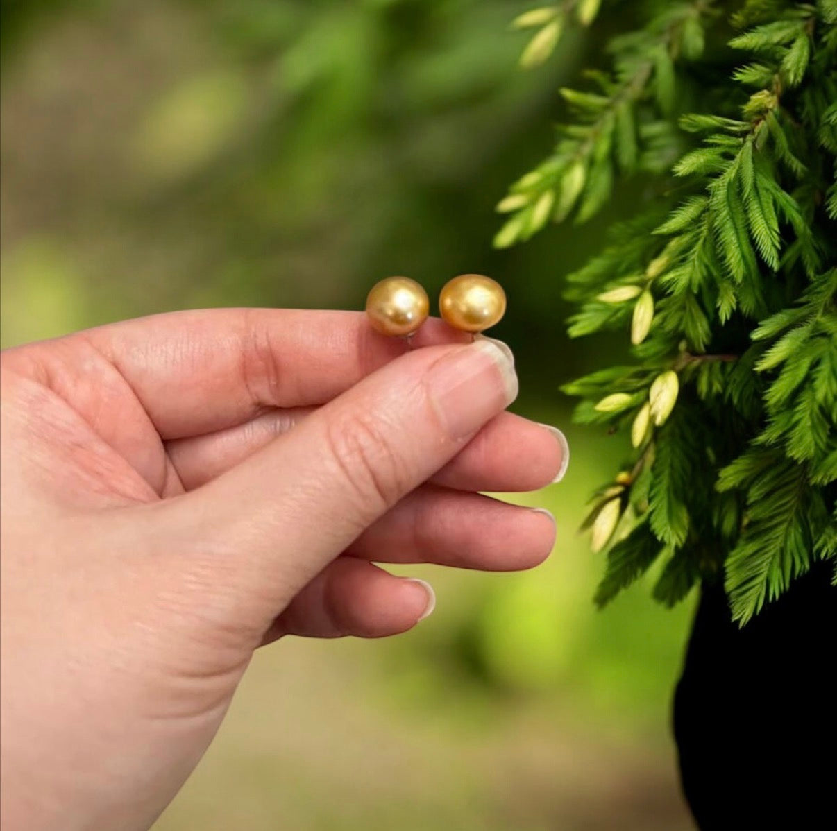10mm Freshwater Golden Pearl Earrings
