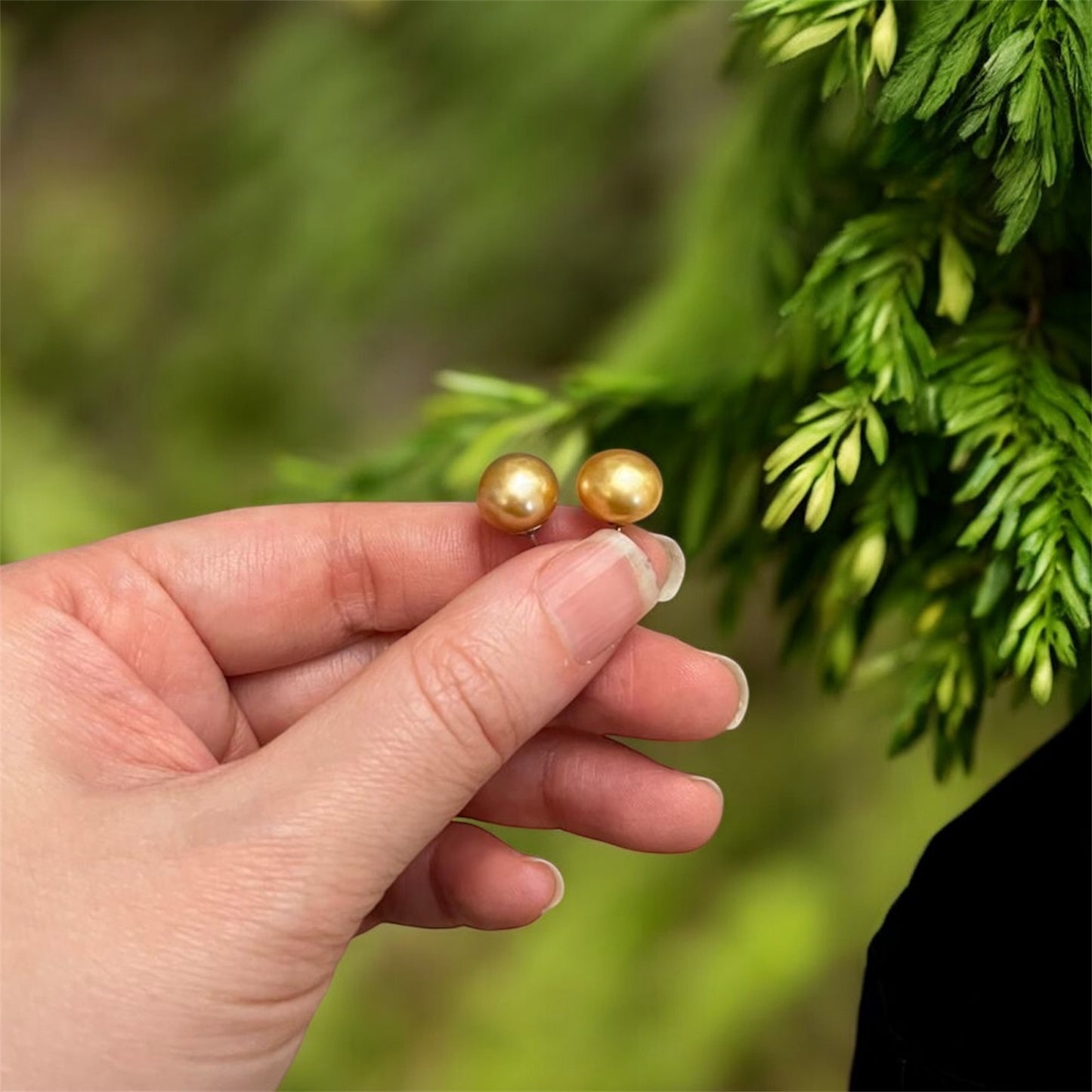 10mm Freshwater Golden Pearl Earrings