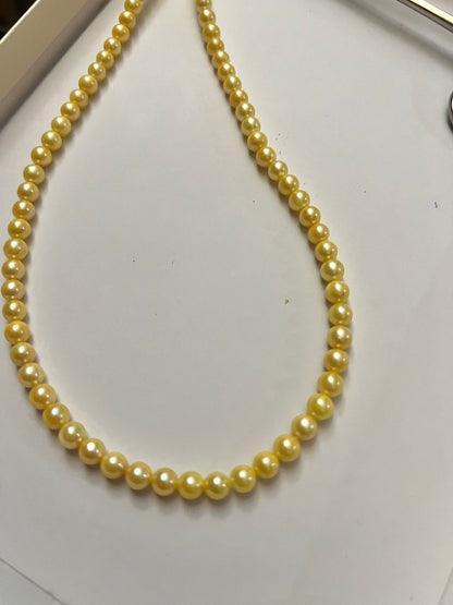 5.5-6mm Japanese Akoya "Feather Gold" Seawater Pearl Necklace
