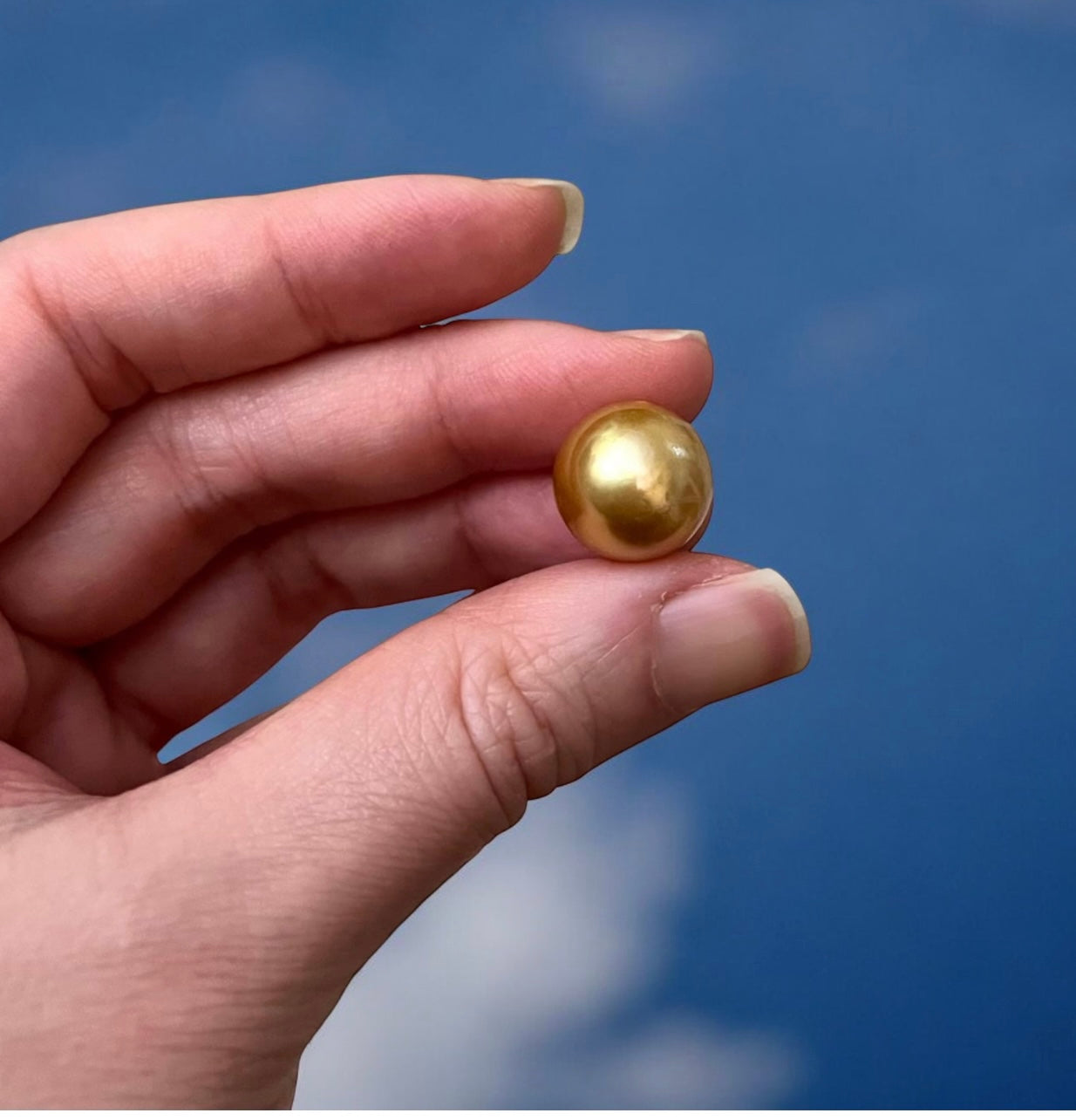 12.8mm 南洋金珍珠