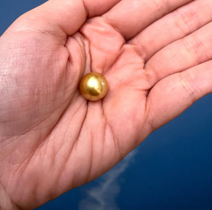 12.8mm 南洋金珍珠